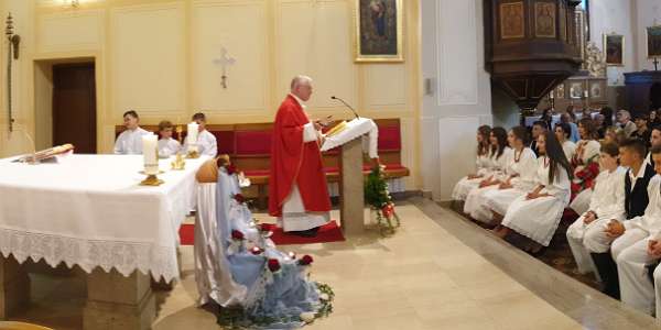 GedenkTag zum sel. Kardinal Stepinac in seiner Pfarre Predigt (Panorama)