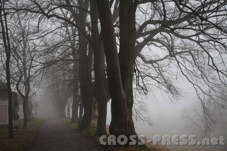 2014.01.18_15.20.42.jpg - Kalvarienberg in mystischem Nebel ...