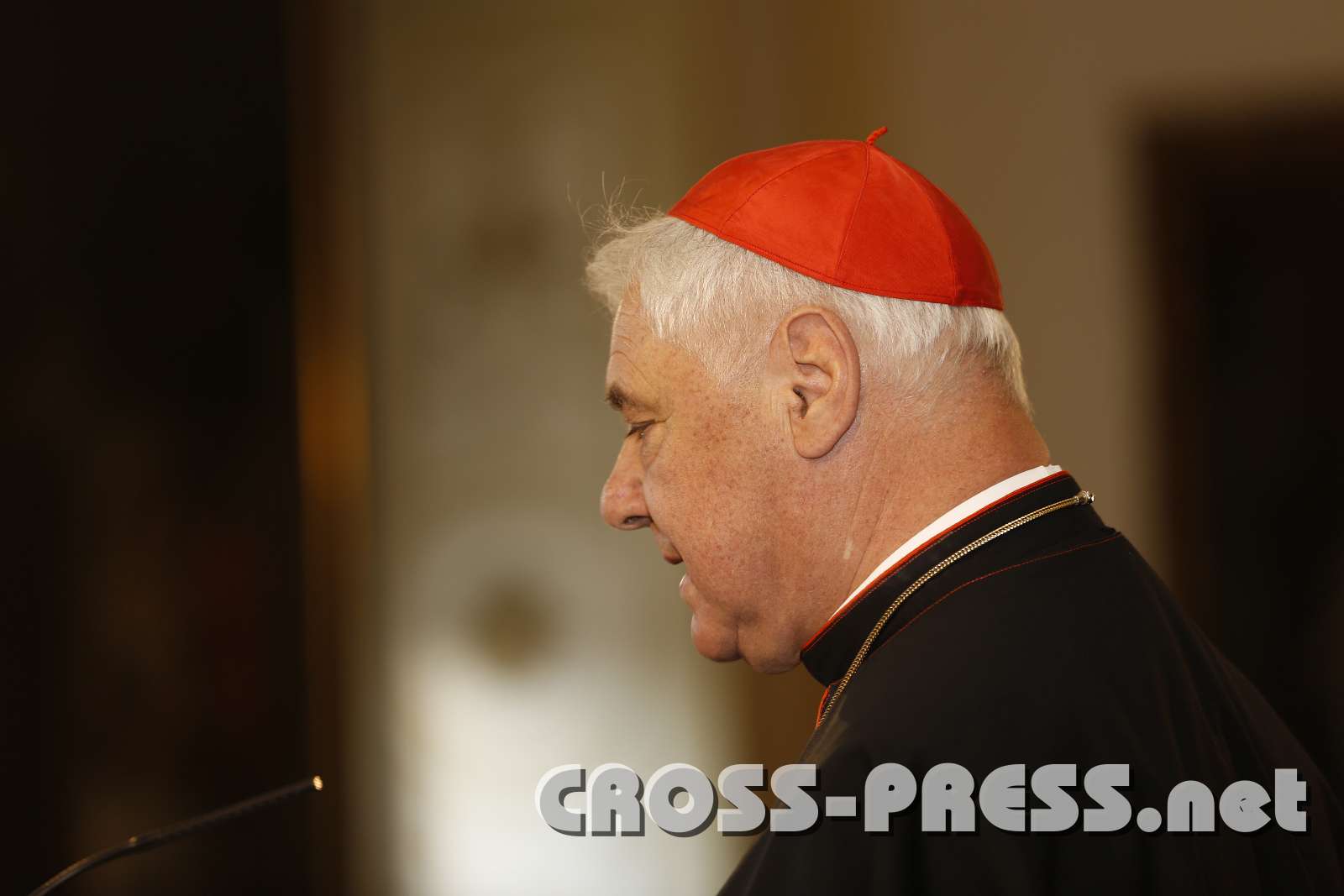2015.11.14_15.35.47.JPG - Kardinal Müller