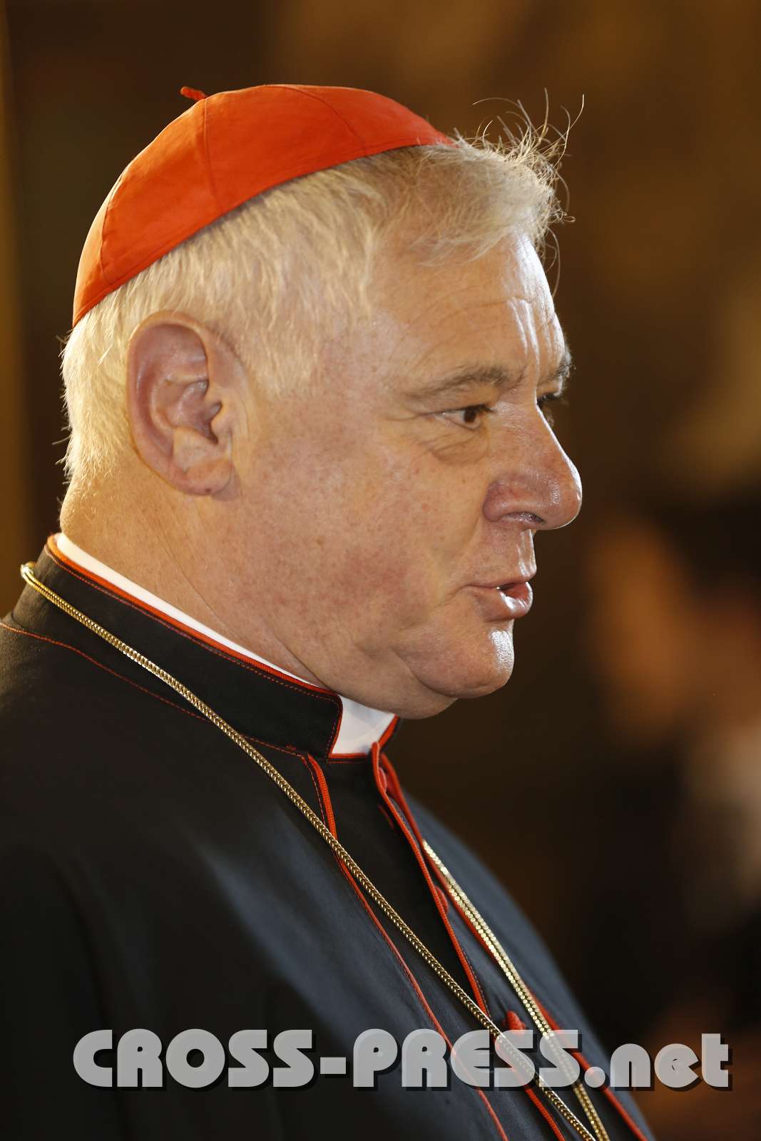 2015.11.14_15.44.55_53.JPG - Kardinal Müller