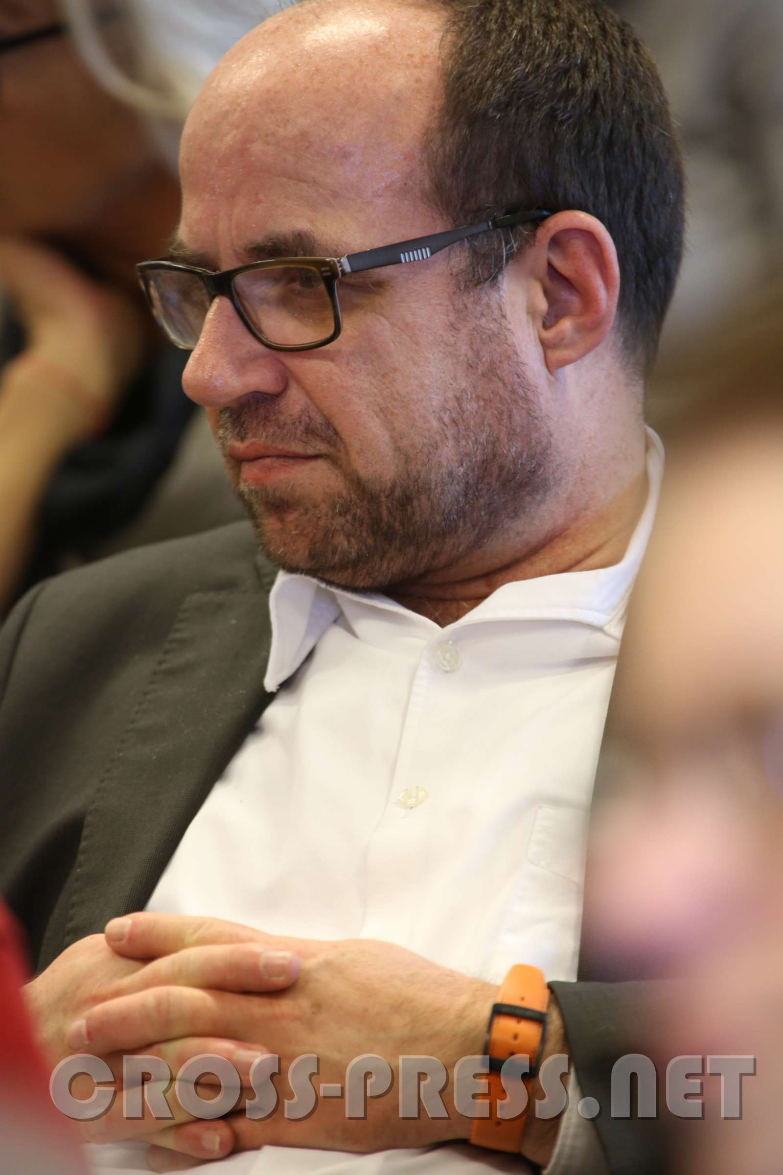 RPP 2015 "Perfektionismus & Vollkommenheit"